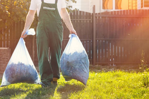 Best Office Junk Removal  in Tucson Mountains, AZ